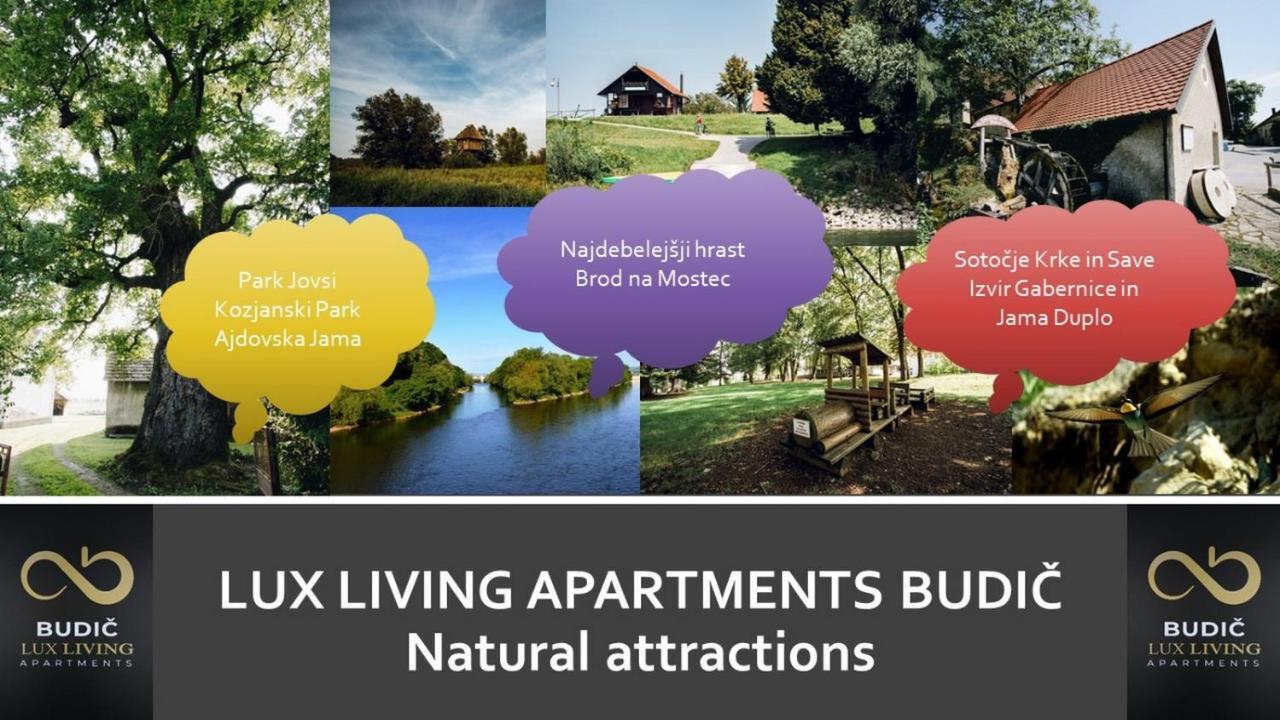 Lux Living Apartments Budic Near Terme Catez Brezice Ngoại thất bức ảnh
