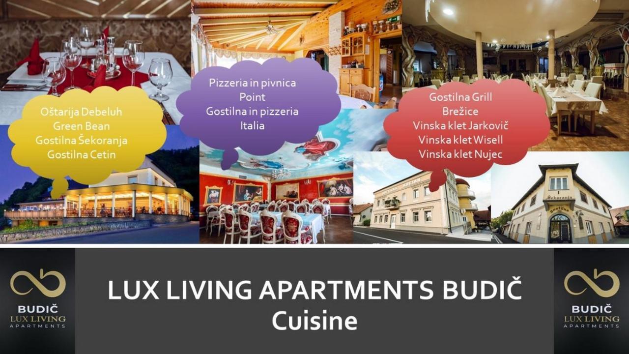 Lux Living Apartments Budic Near Terme Catez Brezice Ngoại thất bức ảnh